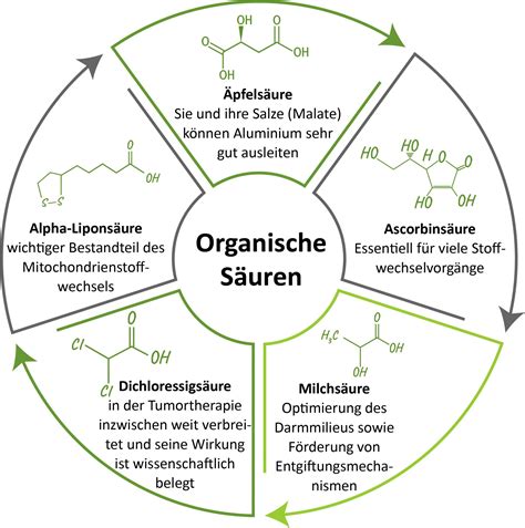 Organische säuren im körper