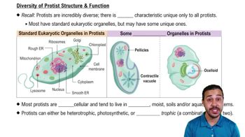 Organism Diversity Structure And Function