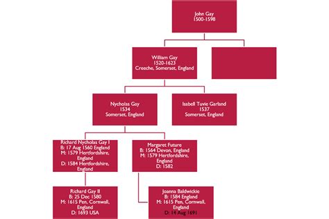 Organization Chart Template for Family Tree in PP Microsoft Community
