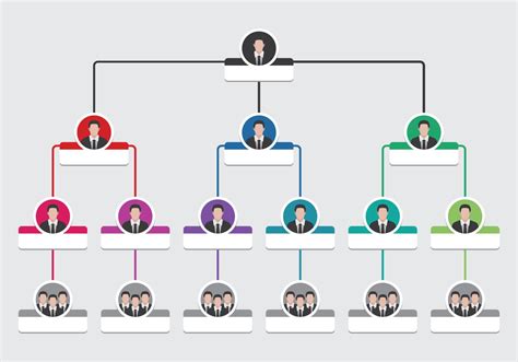 Organization Chart Vector at Collection of