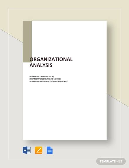 Organizational Analysis Template