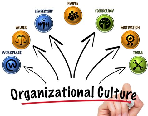 Organizational culture. Things To Know About Organizational culture. 