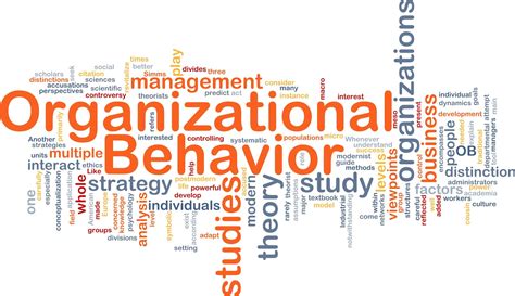 Organizational-Behaviors-and-Leadership Deutsch Prüfung