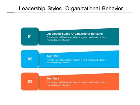 Organizational-Behaviors-and-Leadership Unterlage