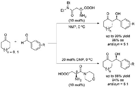 Organocatalysts based on natural and modified amino acids for ...