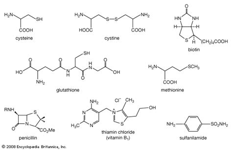 Organosulfur Compounds - an overview ScienceDirect Topics