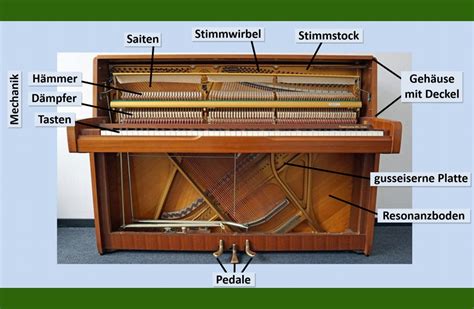 Orgel und klavier in der musik des 16. - Vauxhall opel calibra service repair manual 89 97.