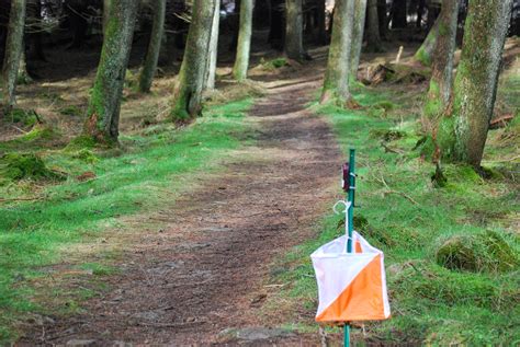 Orienteer. TrailO. , external. is a form of orienteering for people of all levels of physical ability, including wheelchair users. Geocaching. , external. is like a high-tech treasure hunt where you use a ... 