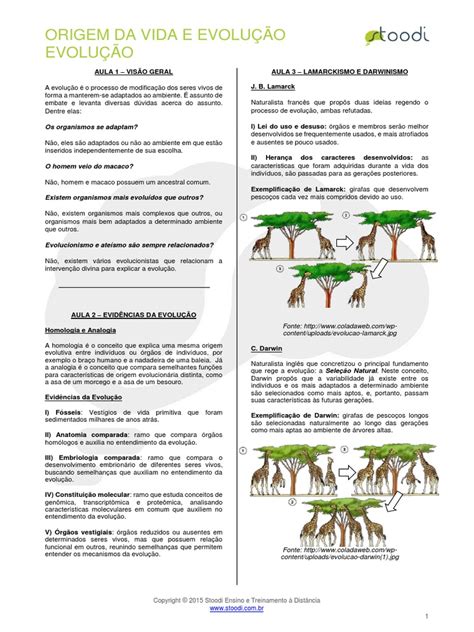 Origem da Vida - Stoodi Carreiras