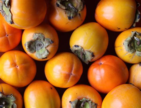 The persimmon ( / pərˈsɪmən /) is the edible fruit of a number of species of trees in the genus Diospyros. The most widely cultivated of these is the kaki persimmon, Diospyros kaki [1] – Diospyros is in the family Ebenaceae, and a number of non-persimmon species of the genus are grown for ebony timber. . 