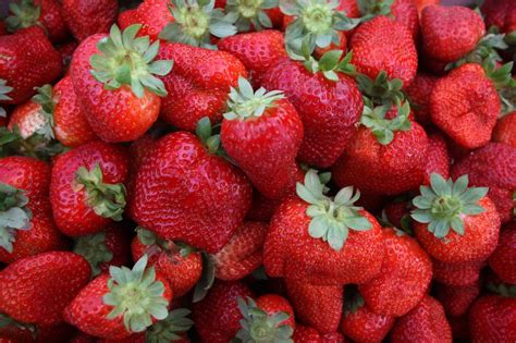 Origin of strawberries. Strawberry ice cream is a classic dessert that’s loved by many. But did you know that strawberries and ice cream can actually be good for your health? Here are some reasons why: Strawberries are a great source of vitamins and minerals. 