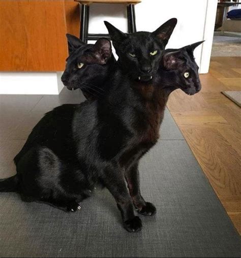 Originalbootjack Leaks [SEX VIDEO] 🍆