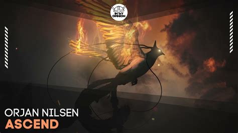 Orjan Halı ve Koltuk Yıkama