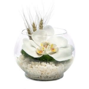 Orkideler Bora Flora.