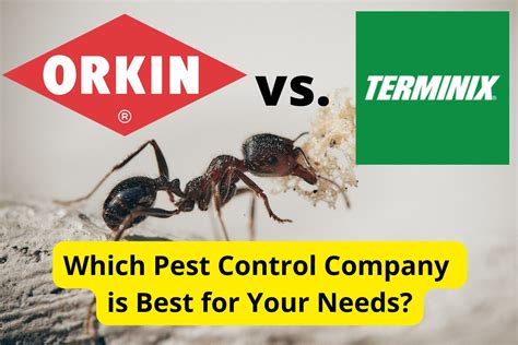 Orkin vs Terminix - Best Company