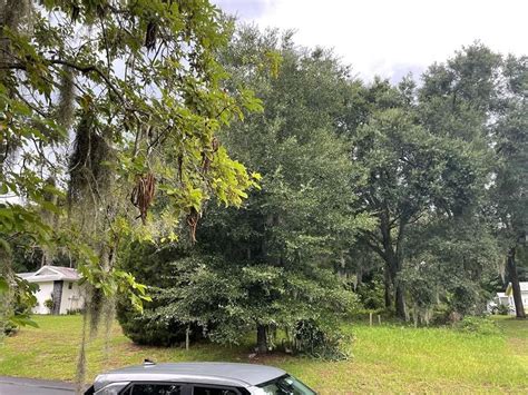 Orlando land for sale. Search land for sale in Orlando FL. Find lots, acreage, rural lots, and more on Zillow. 