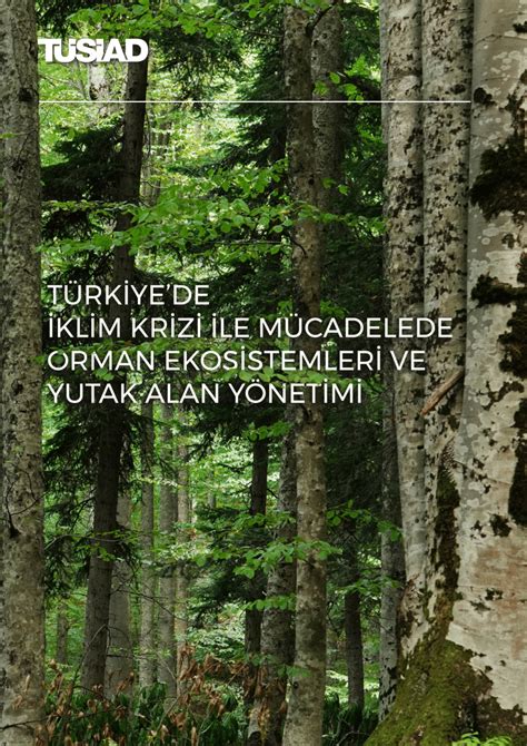 Orman Ekosistemleri. 