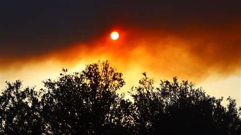 codini.rgarabwor.edu.pl. 