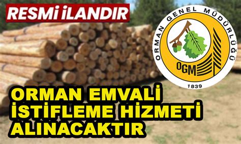 genssuffweb.rgarabwor.edu.pl. 