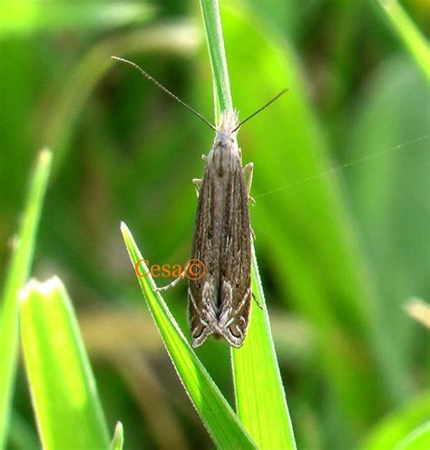 Ormanbagi Halı ve Koltuk Yıkama