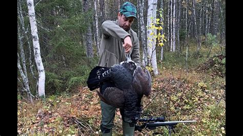 codini.rgarabwor.edu.pl. 