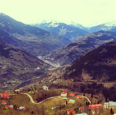 Ornekalan Halı ve Koltuk Yıkama