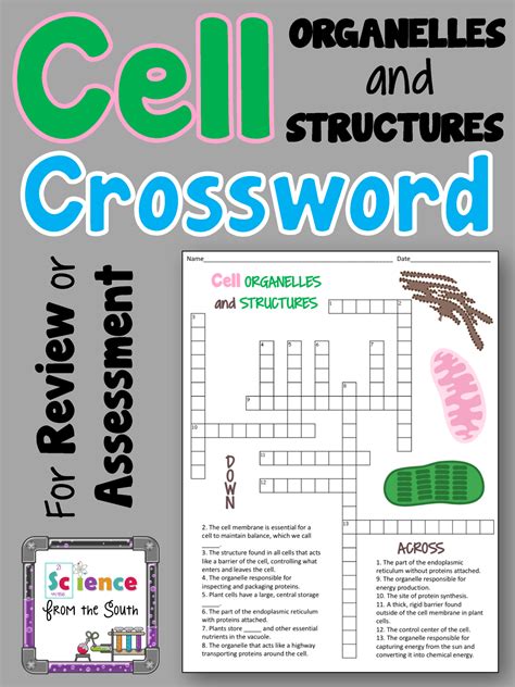The Crossword Solver found 30 answers to "Latticework structure", 7 letters crossword clue. The Crossword Solver finds answers to classic crosswords and cryptic crossword puzzles. Enter the length or pattern for better results. Click the answer to find similar crossword clues . Enter a Crossword Clue.. 