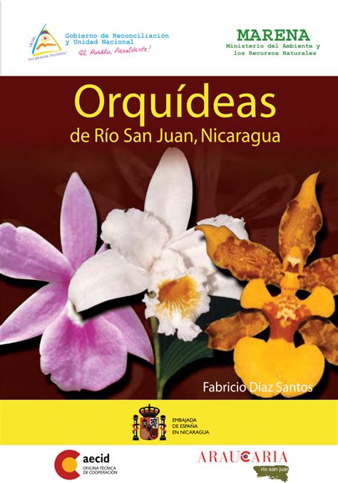 Orquídeas de río san juan, nicaragua. - Akeelah and the bee study guide.