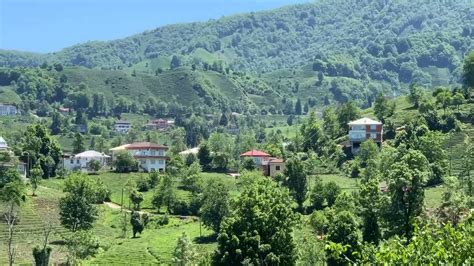 Ortapazar Halı ve Koltuk Yıkama