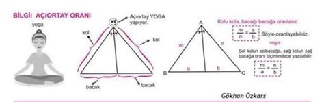 Ortay Halı ve Koltuk Yıkama