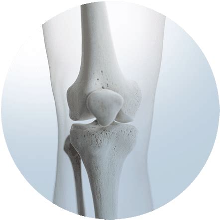 Orthopedic Surgery Naples Sports Medicine Bonita Springs