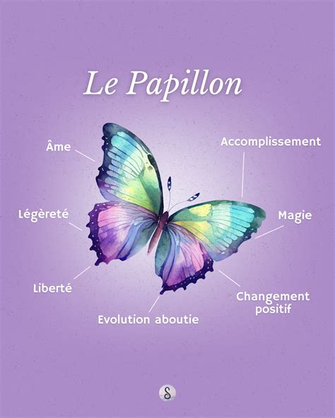 Orthopraxis definition.  Apprenez sa signification et son usage dans le langa...