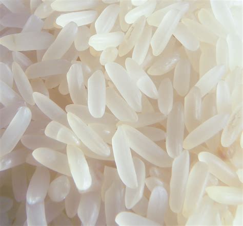 Os05g0158500 - RiceWiki