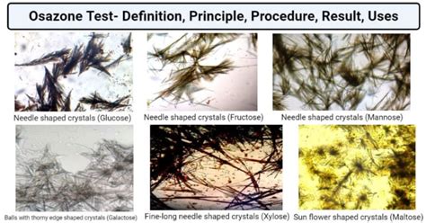 Osazone test observation. .  <a href=https://chat.takeitoff.me/assets/imag...