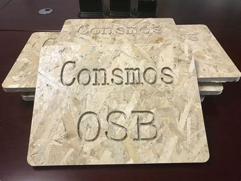 Osb5 Halı ve Koltuk Yıkama