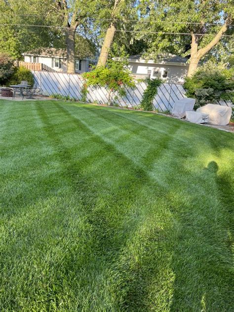 Oscar And Sons Lawn Care Service - Yelp