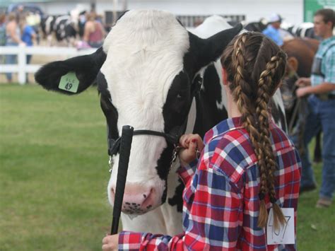 Osceola County 4-H And FFA Fair - Evart, MI - AARP