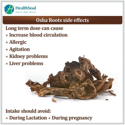 Osha root uses. Things To Know About Osha root uses. 