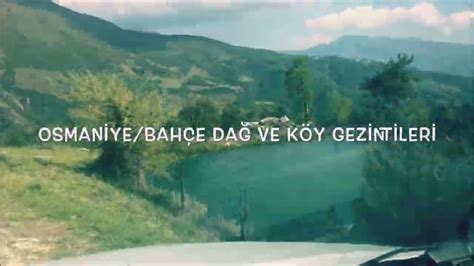 Osmaniye Bahce terapi halı yıkama