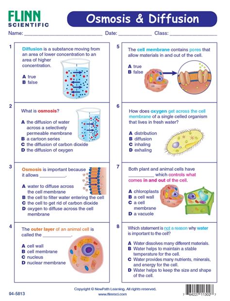 Osmosis and diffusion science learning guide by newpath learning. - Verzeichnis sämtlicher werke von johann strauss, vater und sohn..