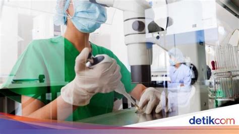 Osmosis dan konsepnya dalam biologi yang perlu diketahui