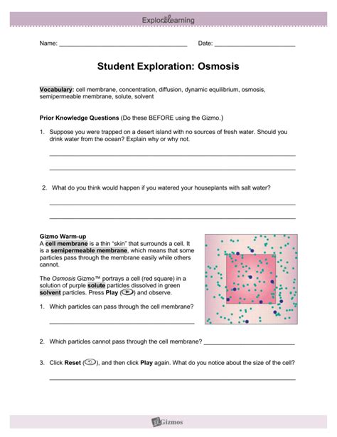 Student Exploration: Osmosis. Directions: Follow the instructions to go through tprompts in the orange boxes. he simulation. Respond to the questions and. Vocabulary: membrane, …. 