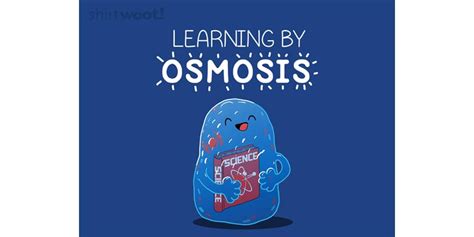 Osmosis learning. The instructor at the third university taught using a small discussion/laboratory approach which was informed by constructivist theory. Results of pre- and post ... 