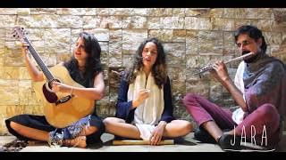 Oso blanco danit chords.  Chords: C, D, Em, E.  Learn interactive chords wit...