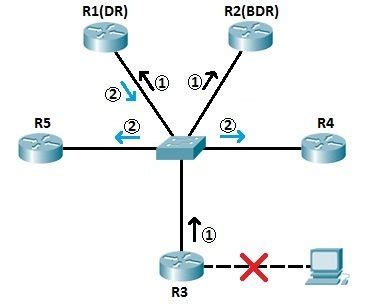 Ospf study guide pdf.  - OSPF routers elect a Designated Router and Backup Sear...