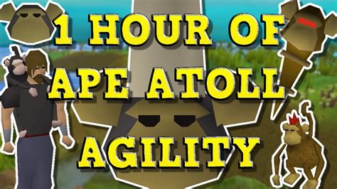 Osrs ape atoll agility. Things To Know About Osrs ape atoll agility. 