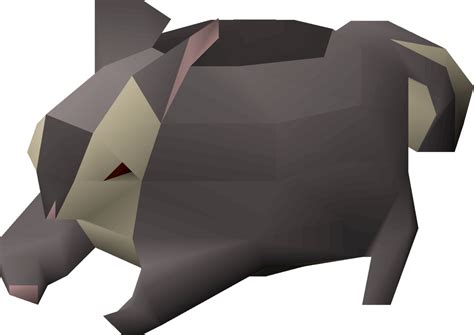 Osrs black chinchompa. Things To Know About Osrs black chinchompa. 
