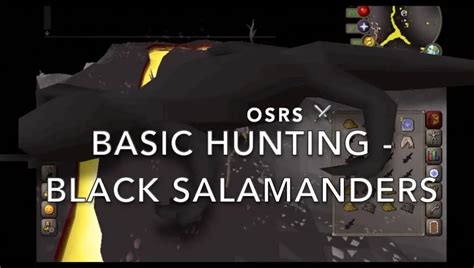 Catch a Black Salamander: You'll need 67 Hunter, a Small Fishing Net, and a Rope to catch one. They can be found in the Boneyard Hunter Area, which is located northeast of the southern Chaos Temple, or east of the Boneyard. ... Similar to the above, you'll need the required OSRS gold coins to pass through, along with any Pickaxe to mine ...