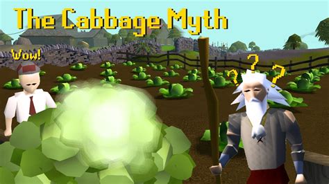 Osrs cabbage. Head to Black Knights' Fortress with an iron chainbody and bronze med helm.; Equip iron chainbody and bronze med helm, and enter the fortress through the sturdy door (toward the south, on the left stretch of the hallway).; Push the wall in front of you and climb-up the ladder twice. Climb-down the ladder to the south, go through the eastern door and climb … 