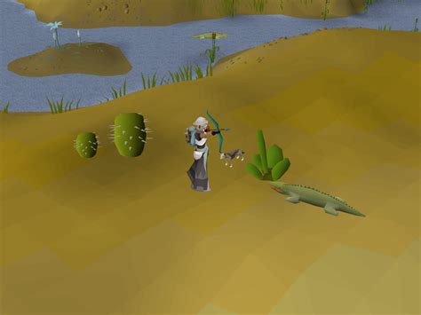 Osrs crocodiles. Chronozon is a blood demon that must be defeated towards the end of the Family Crest quest. It is found in the Wilderness area of the Edgeville Dungeon, by the Earth obelisk. A pathway to Chronozon can now be found near the skeletons west of the Wilderness area entrance. Chronozon must be hit with all four elemental blast spells in order to be killed, or otherwise it will return to full health ... 